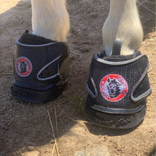 Load image into Gallery viewer, Boots, Boots and More Boots!