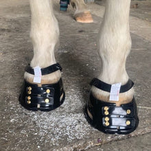 Load image into Gallery viewer, Boots, Boots and More Boots!