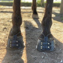 Load image into Gallery viewer, Boots, Boots and More Boots!