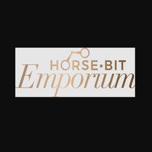 Load image into Gallery viewer, Bit Fitting Day