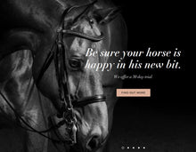 Load image into Gallery viewer, Bit Fitting Day